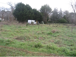 terrain à la vente -   33730  VILLANDRAUT, surface 951 m2 vente terrain - UBI476243972